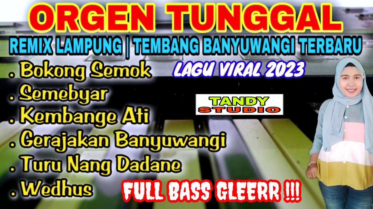 Orgen Tunggal Remix Lampung full bass glerr❗Tembang banyuwangi terbaru@tandystudio6343