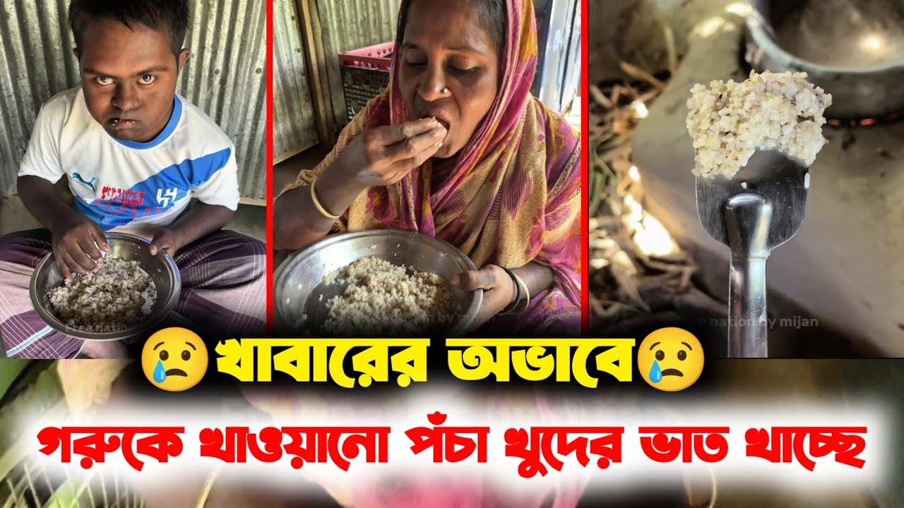 কতটা অসহায় হলে খাবারের অভাবে গরুকে খাওয়ানো পঁচা খুদের ভাত খেতে পারে 😢