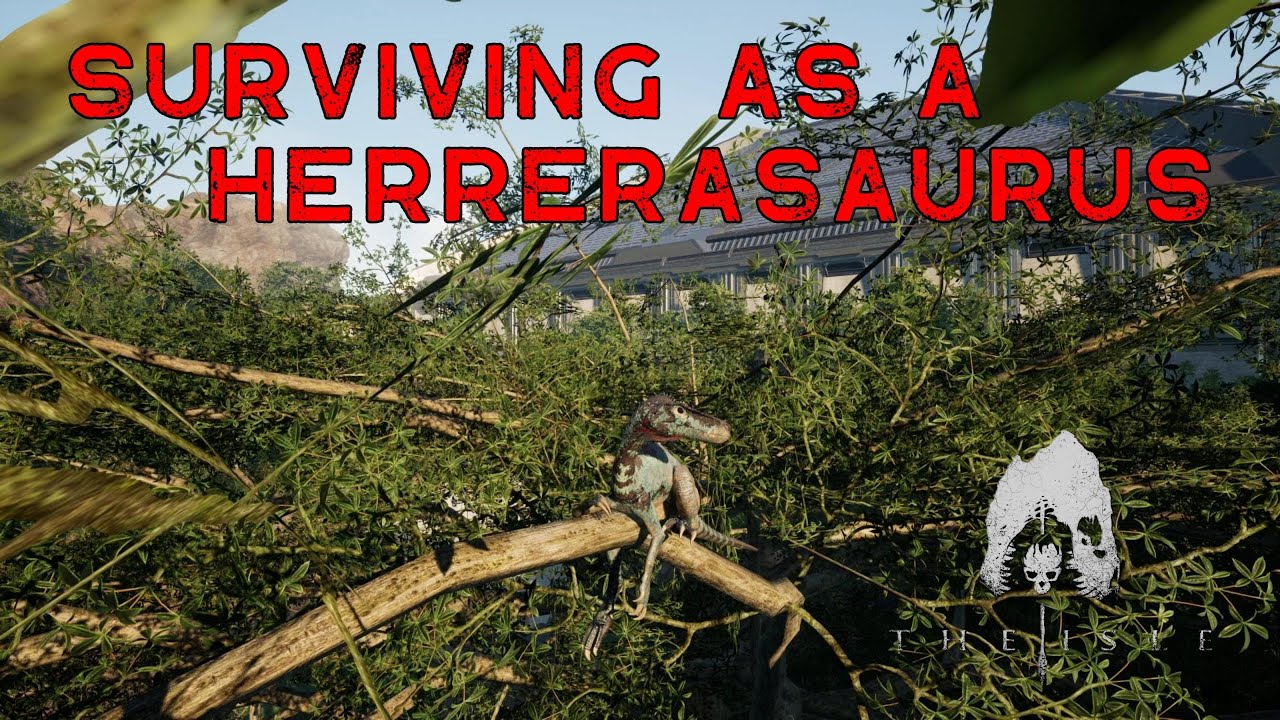 Surviving as a Herrerasaurus on the Official Servers | The Isle: Evrima