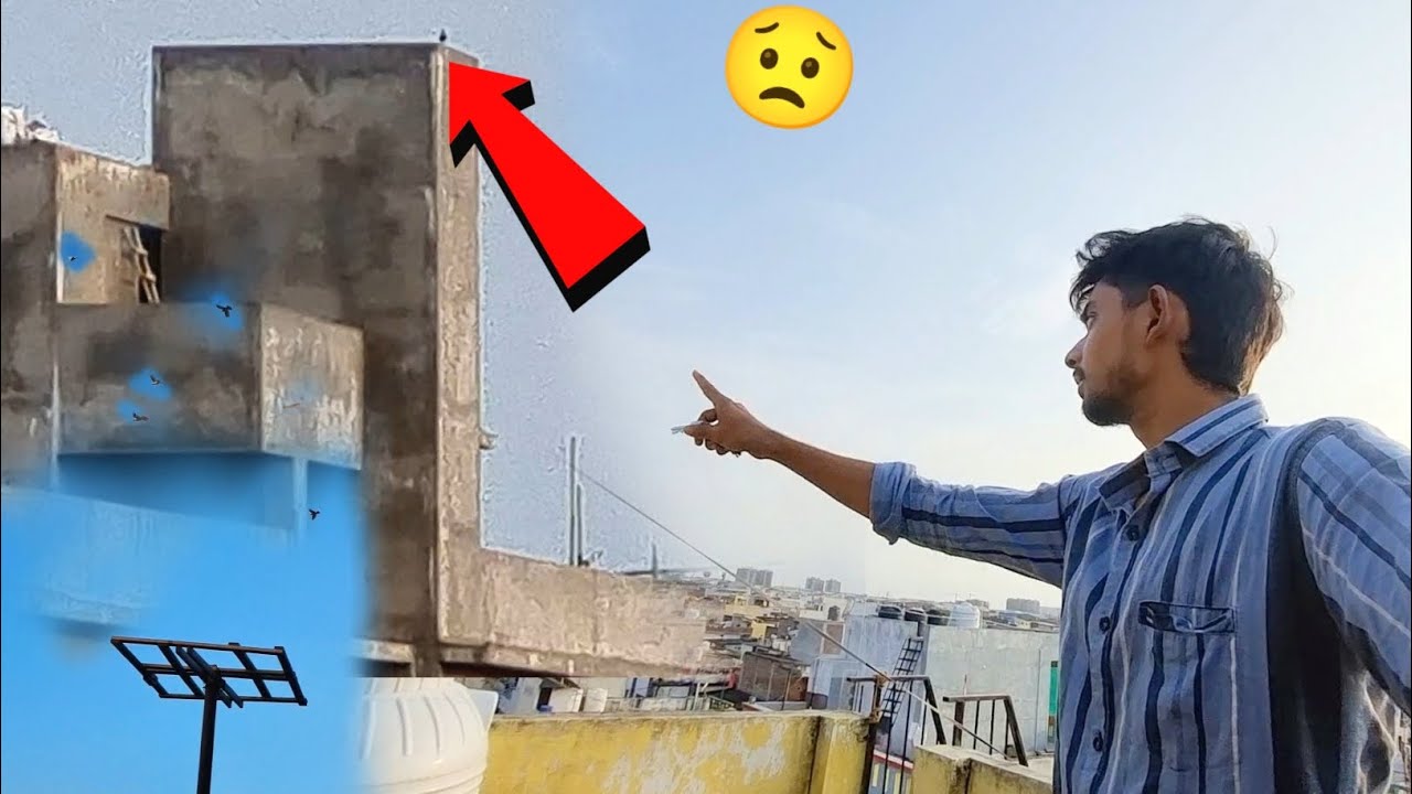 Hmara Ek Kabootar Bhag Gya 😥