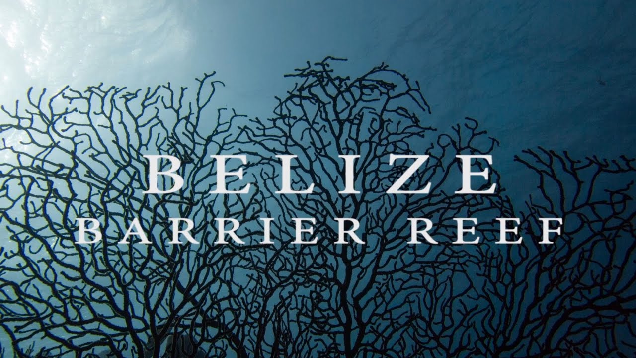 BELIZE BARRIER REEF