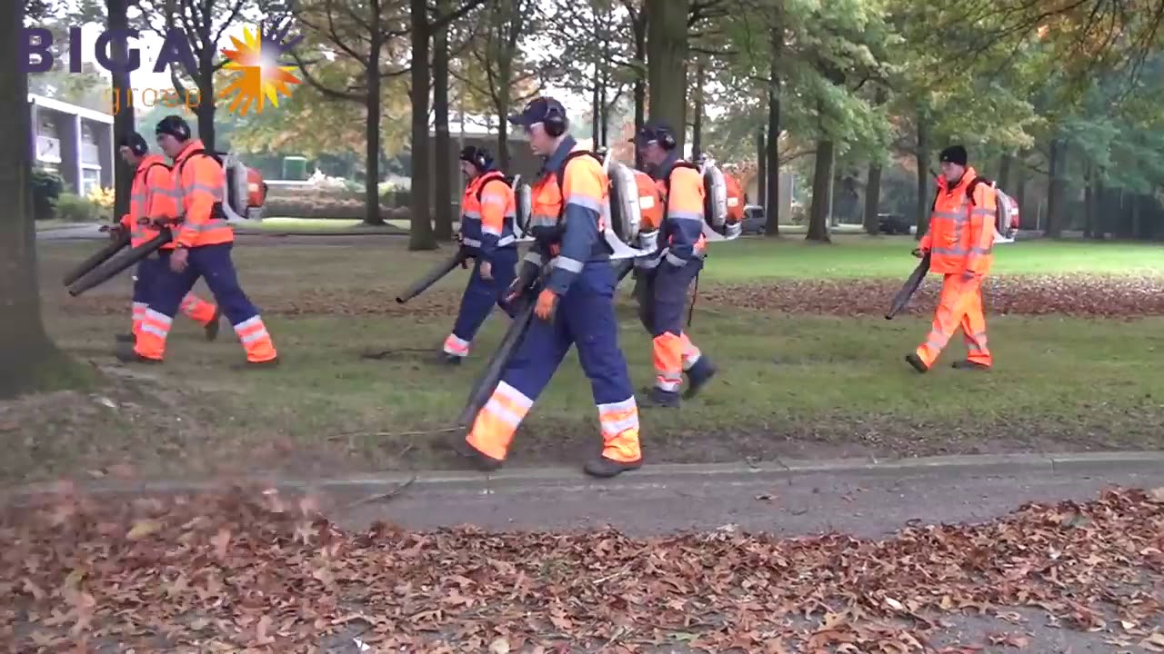 Biga Bladblazer Boys