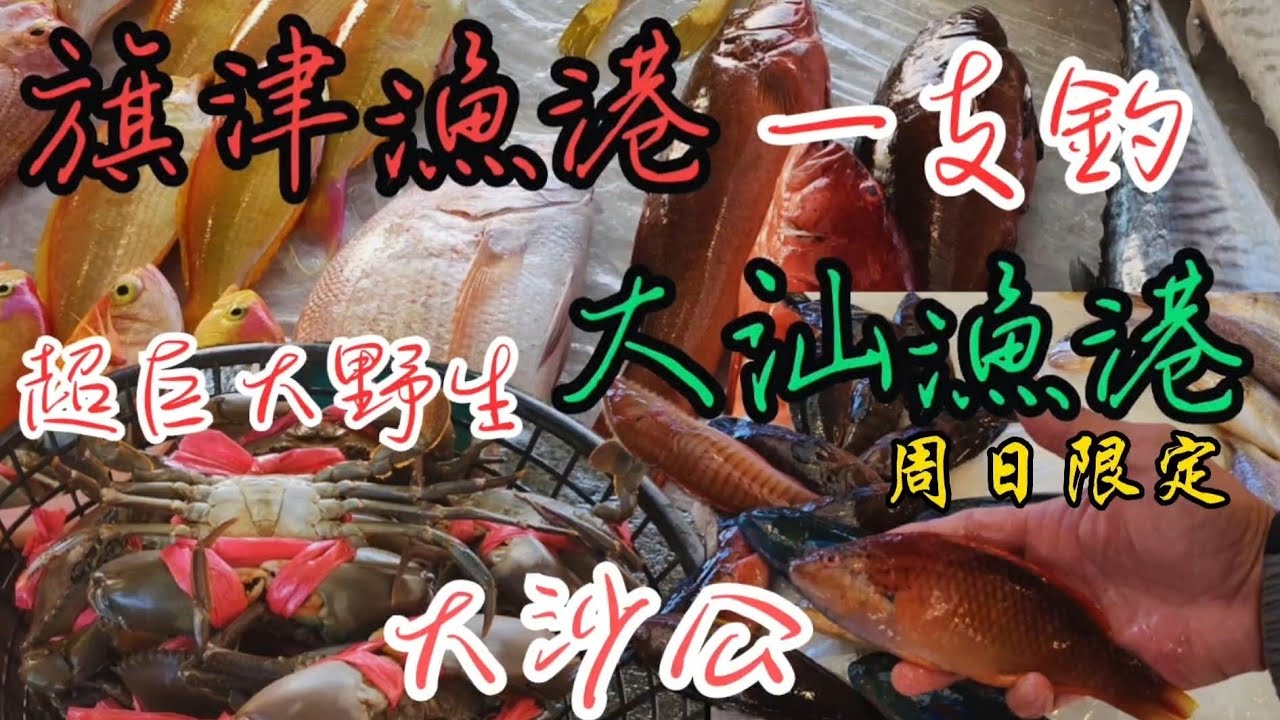 〔旗津漁港大汕漁港〕旗津魚市場裡土魠魚大豐收，紅秋姑、紅馬頭、紅鱠ㄧ公斤多少錢？大汕漁港買的ㄧ支釣新鮮又便宜ㄧ公斤只要300。
