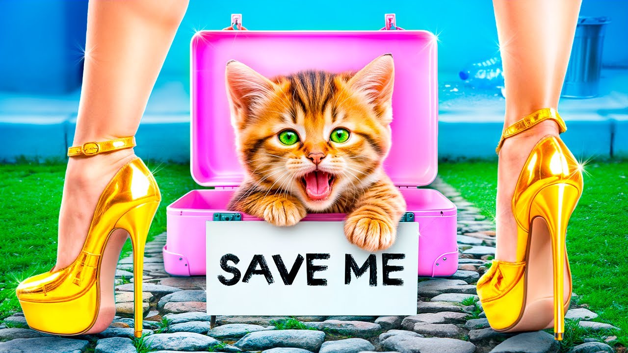 We Build a Secret Room for Cat! I Saved Homeless Tiny Kitten!