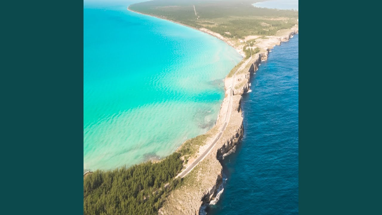 Palmetto Point