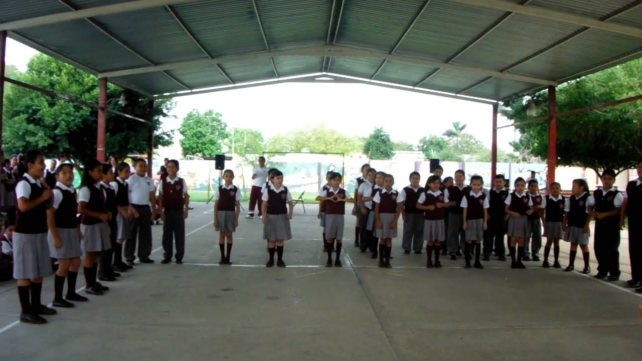 Tu me enseñaste a Volar- Alumnos de Primaria