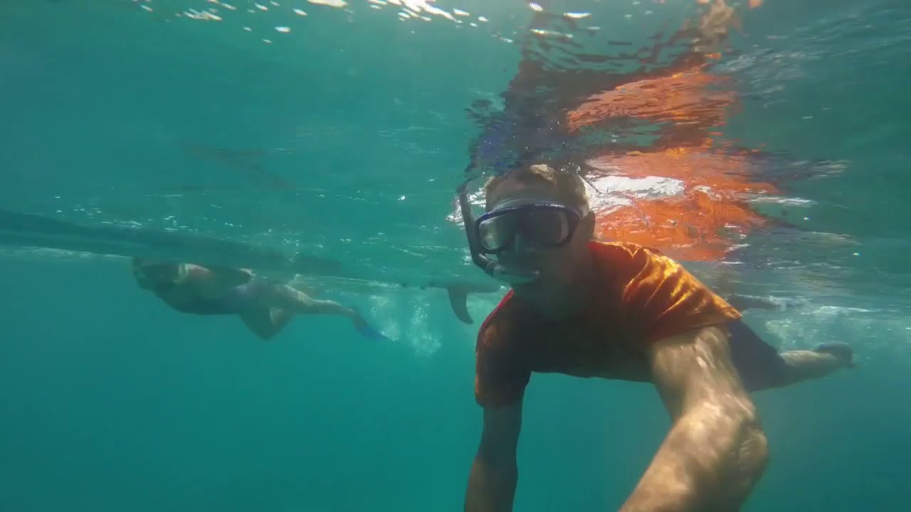 Snorkling med Dreyma i St Vincent & Grenadines i Karibien.