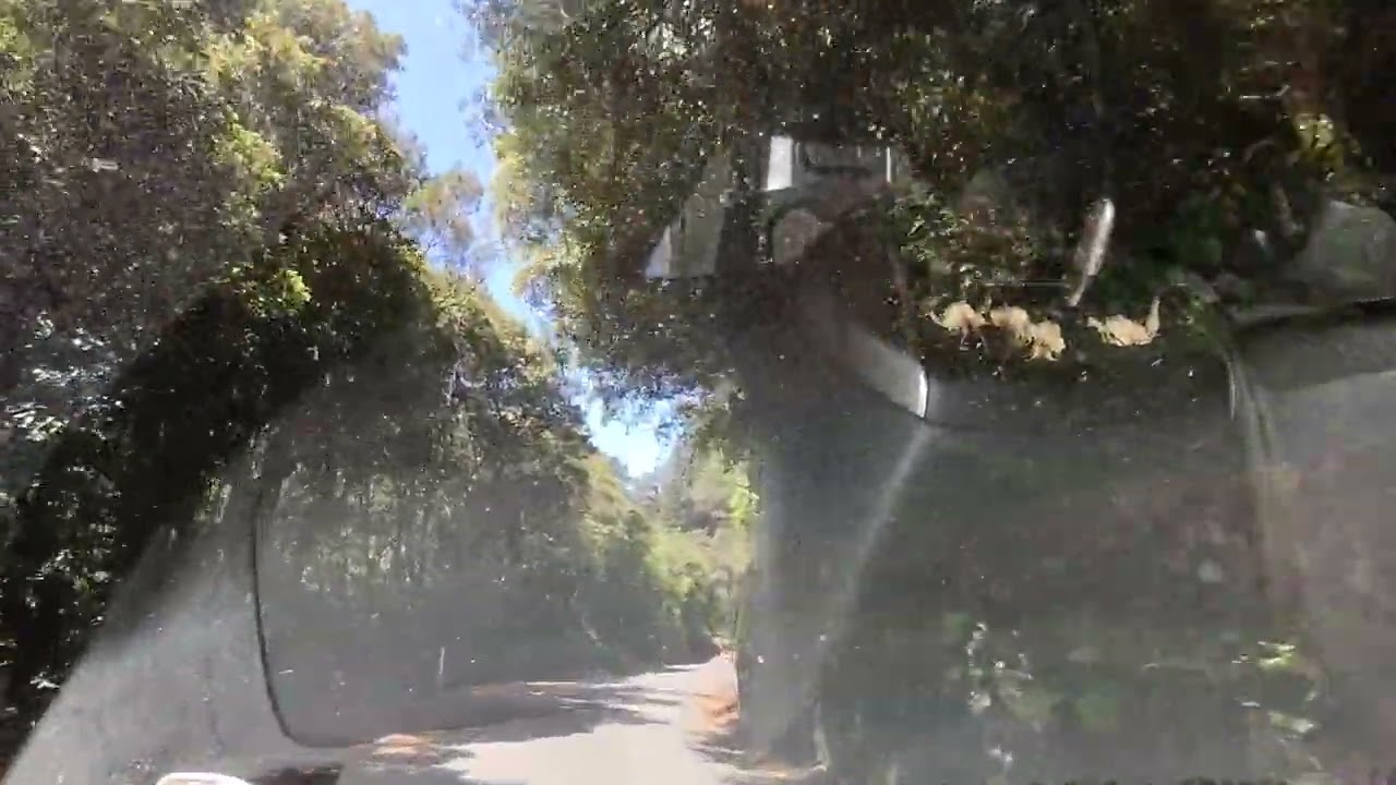 Forest Drive 95 - Akatarawa Road Rambles