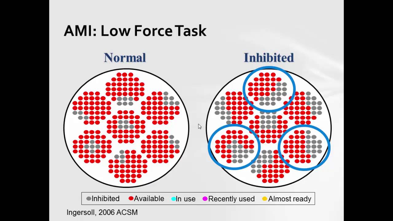 Module 3 - 10 Arthrogenic Muscle Inhibition (AMI)