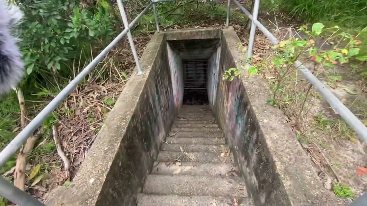 Abandoned World war 1 and 2 remains found while walking through Sydney&rsquo;s headlands