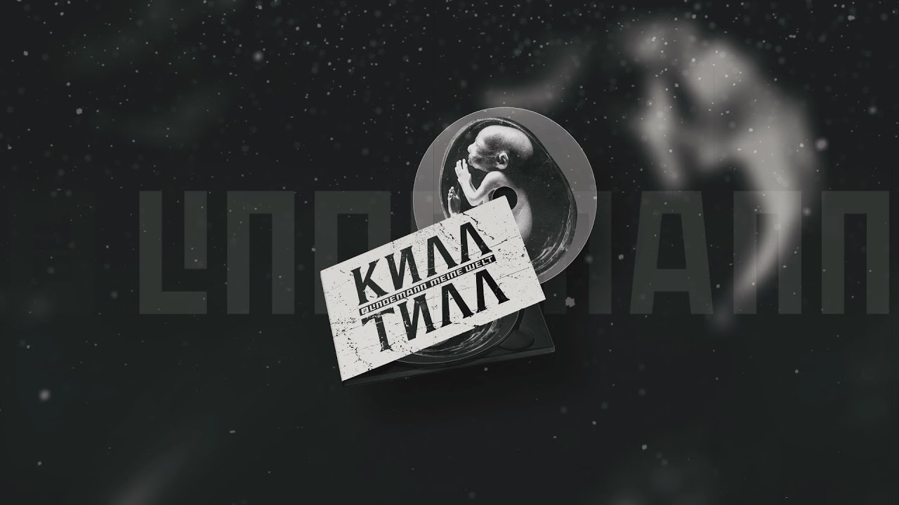 Till Lindemann — Meine Welt (Instrumental Cover) #instrumental #lindemann #metal