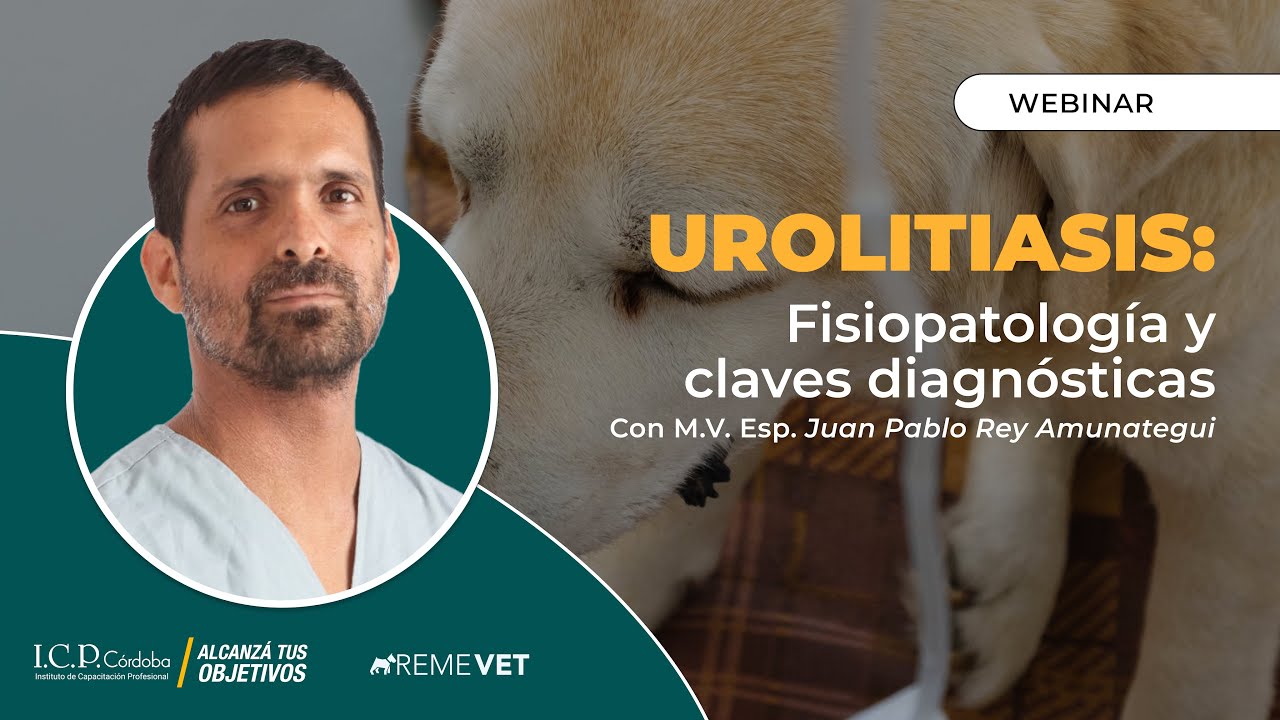 Urolitiasis: fisiopatología y claves diagnósticas