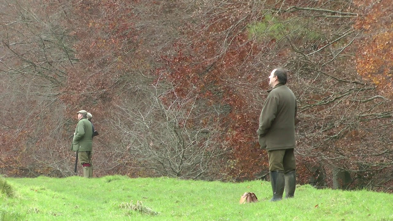 Pheasant and Partridge Shooting featuring ''The Archangels Of Melbury Abbas''