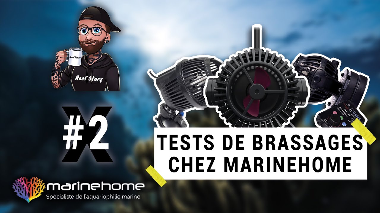 LES TYPES DES BRASSAGE ! ON VOUS EXPLIQUE TOUT ! FEAT MARINEHOME