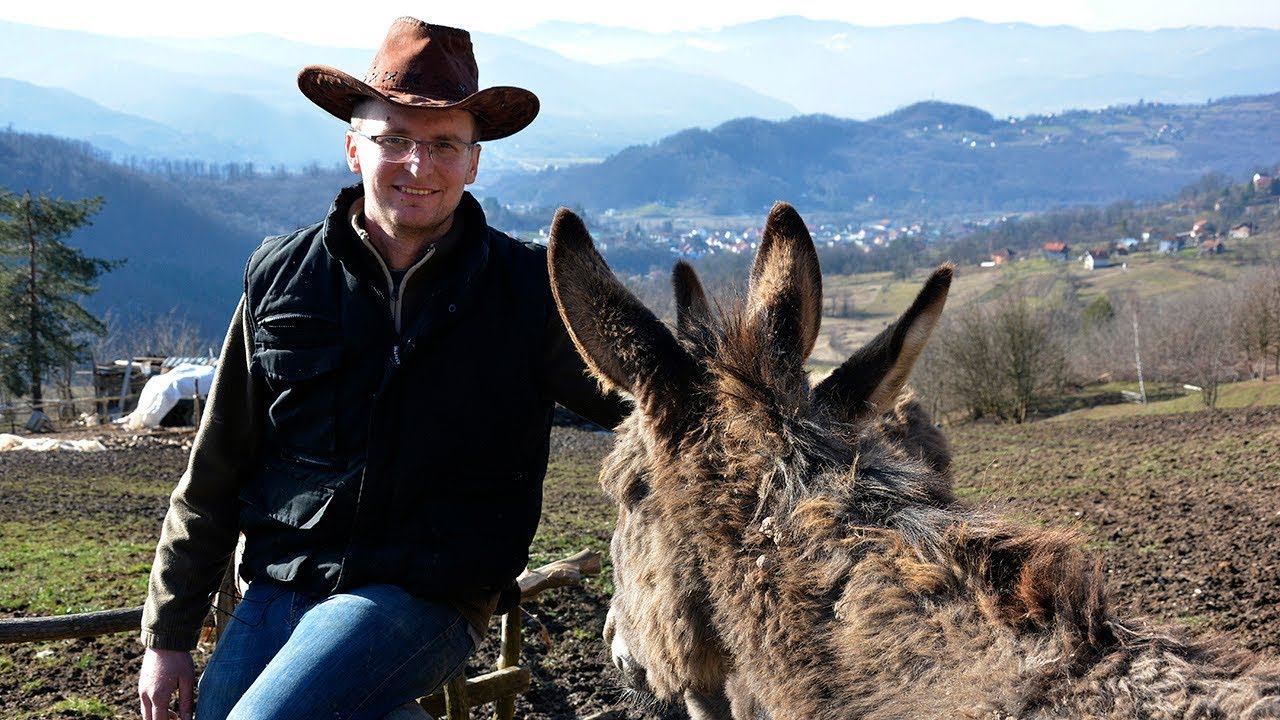 Doktor za magarce - a donkey doctor