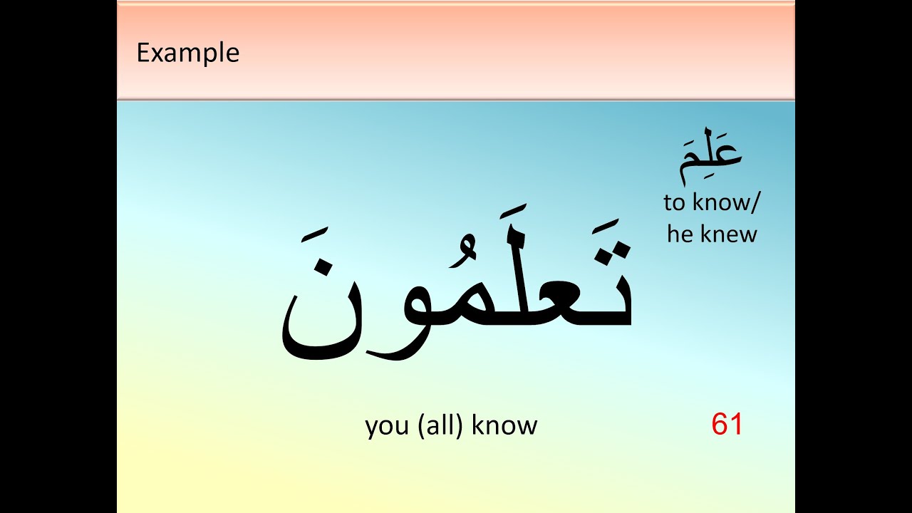 08 Quranic Arabic course level 1 - lesson 8 of 10 - 2025