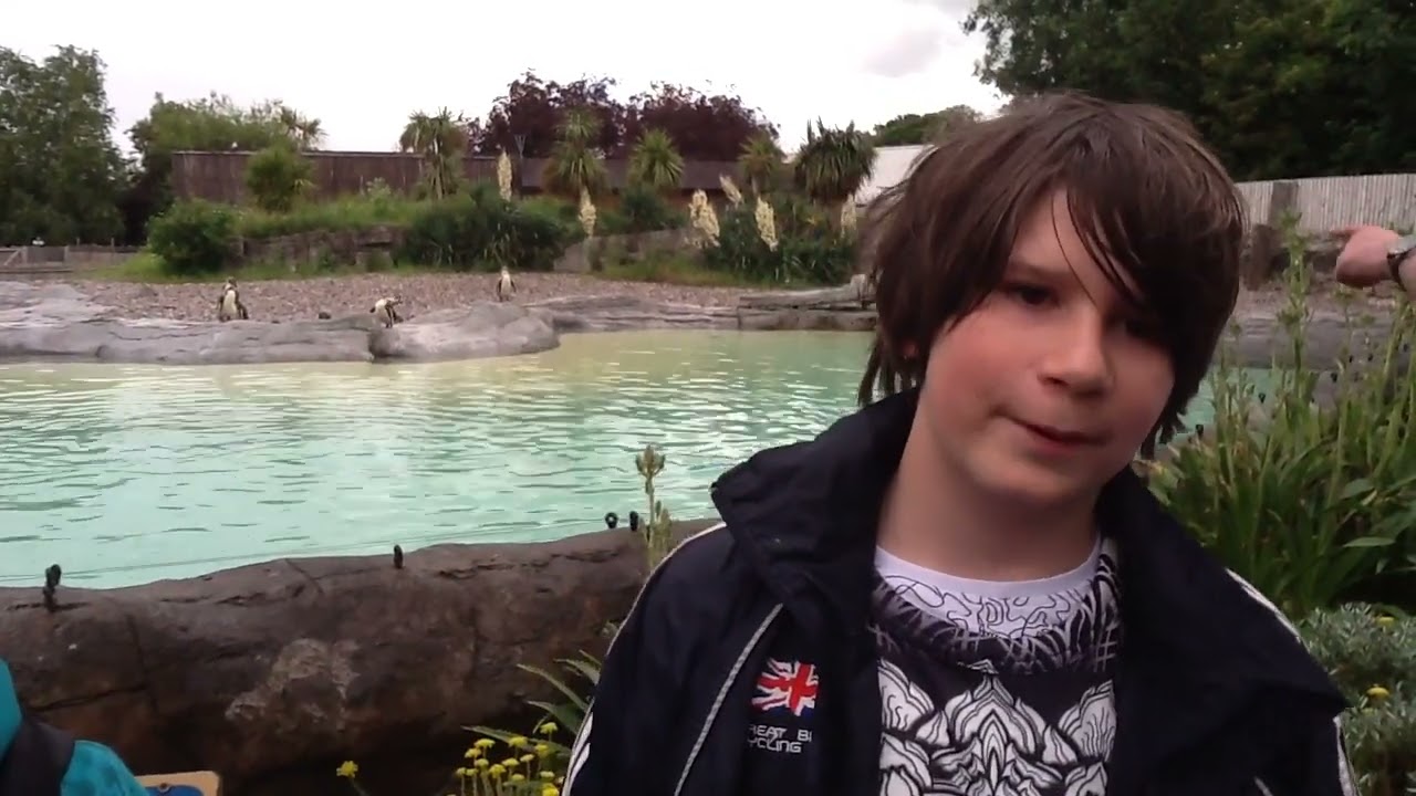 Welcome to Chester Zoo by QPHS Year 8 Spanish students