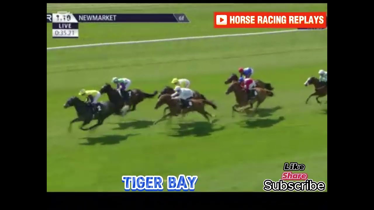 Tiger Bay / 1 Race Newmarket 03/05/2025