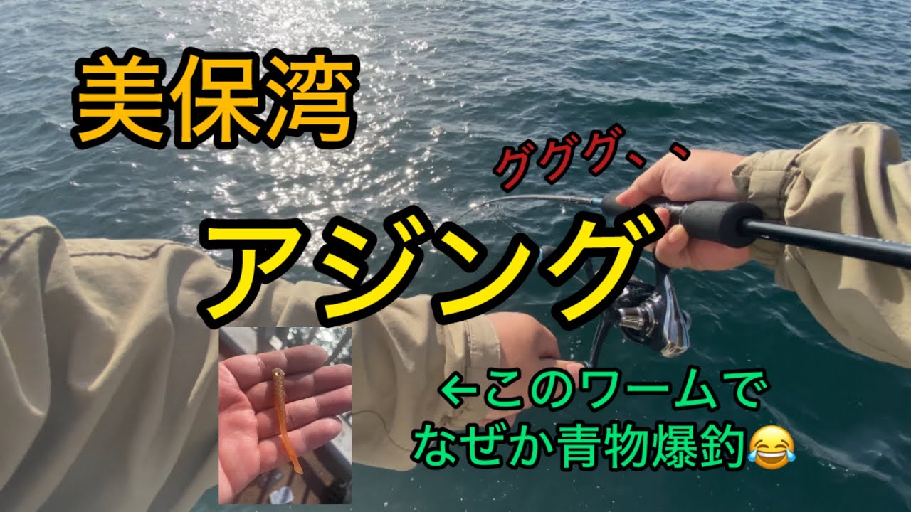 【アジング】漢のアジング！ゴツめタックル、デカワームで尺アジ以上狙うぞ！