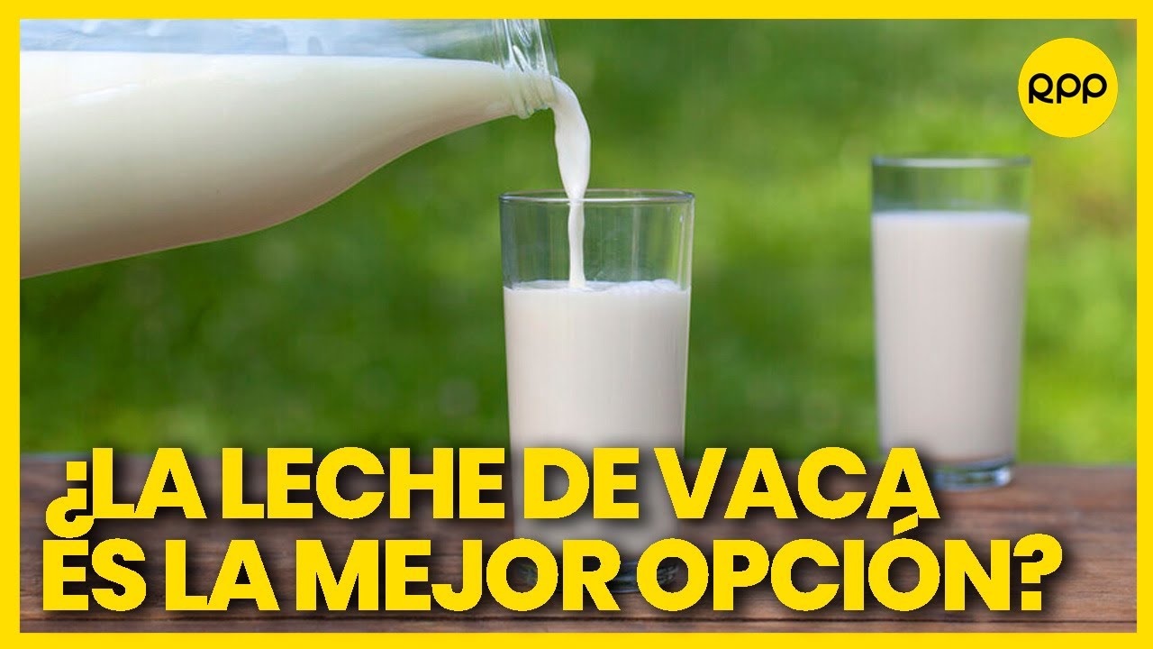 Estos son los beneficios de tomar leche de vaca