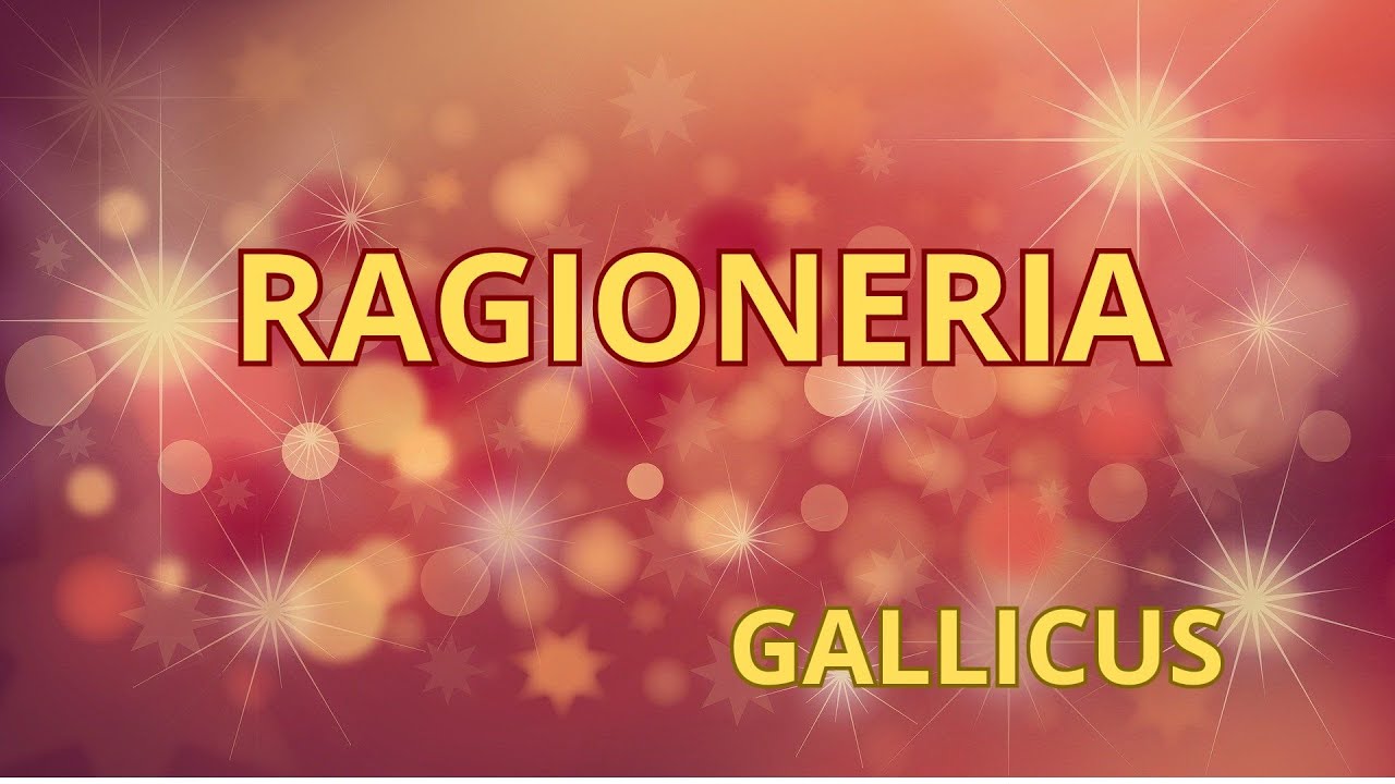 RAGIONERIA-GALLICUS #gallicus#ragioneria#sugarfornaciari#ligabue#vascorossi #scuolachevuoifare