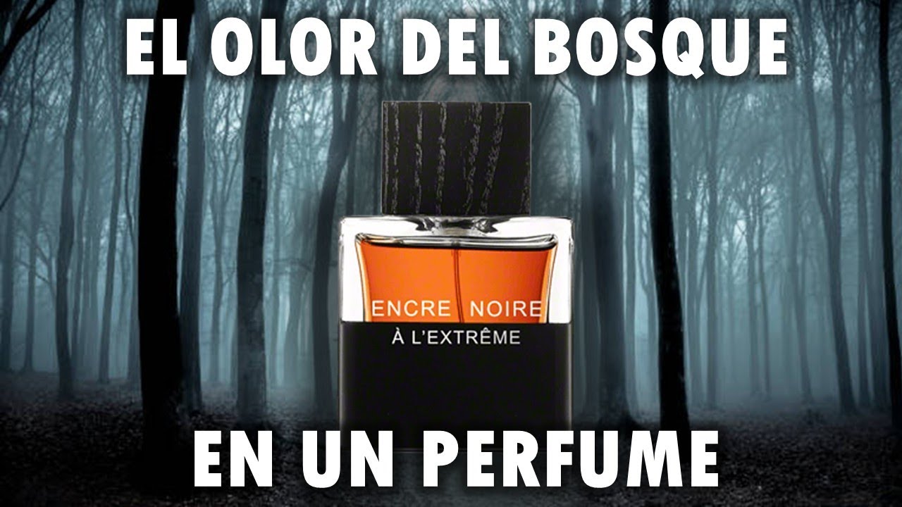 ¿Quieres Oler a un Bosque Oscuro? ENCRE NOIRE A L'EXTREME  DE LALIQUE