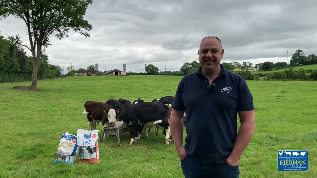Padraig McKenna Suckler Farmer Using Kiernan Milling Products!
