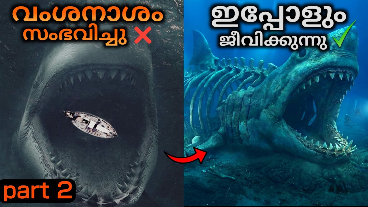 ഇപ്പോഴും ജീവിച്ചിരിക്കാൻ സാധ്യതയുള്ള 7 ജീവികൾ | Part 2