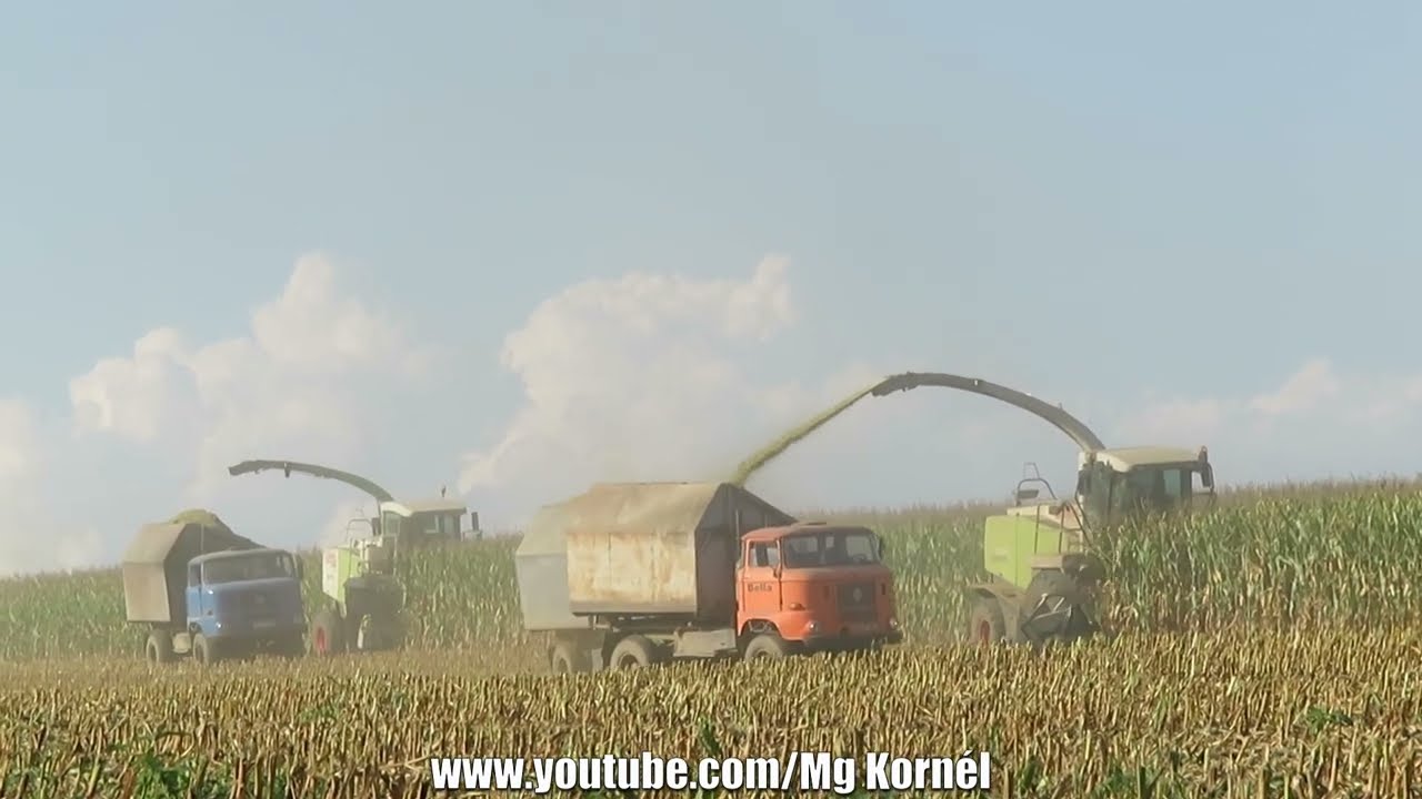 2x Claas Jaguar 890, 840, IFA, John Deere, MTZ, Silage 2023