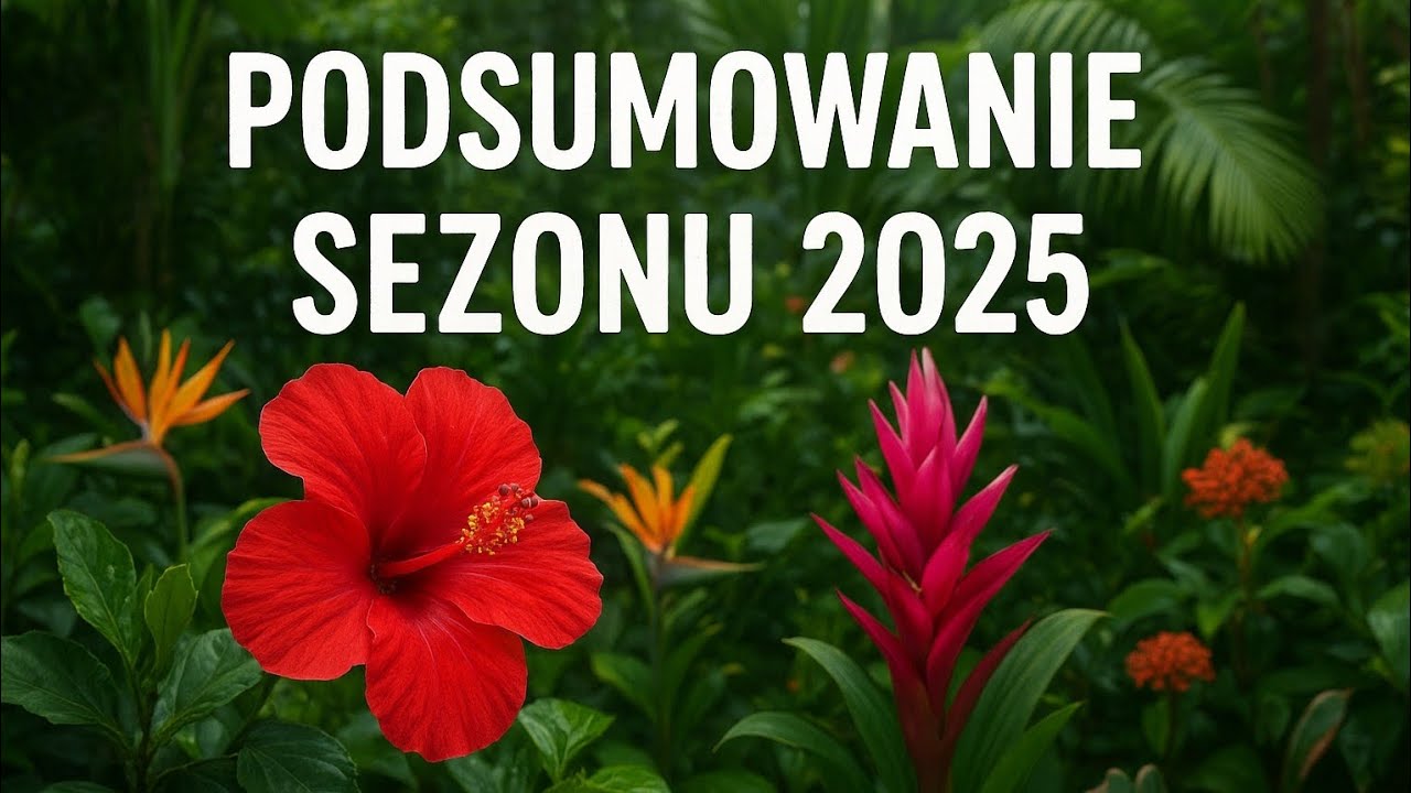 Podsumowanie sezonu 2025 🌴 plus omówienie przygotowań do zimy 2025/2026