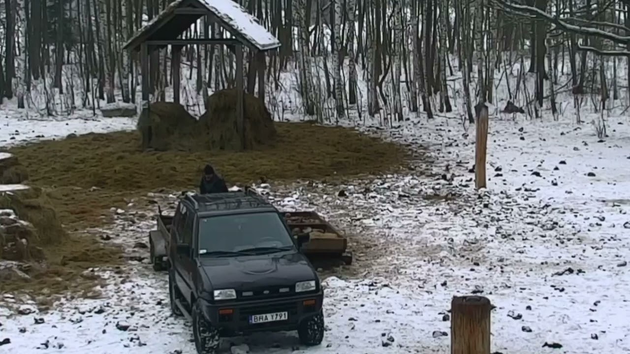 Nowa dostawa karmy do koryta dla zwierząt na polanie 06.02.2026 r