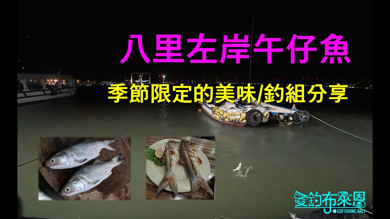 學釣魚#43 八里左岸季節限定的美味，午仔魚的釣法分享 #夜釣 #四絲馬鮁 #黑鯛 #海口鮮 #美食
