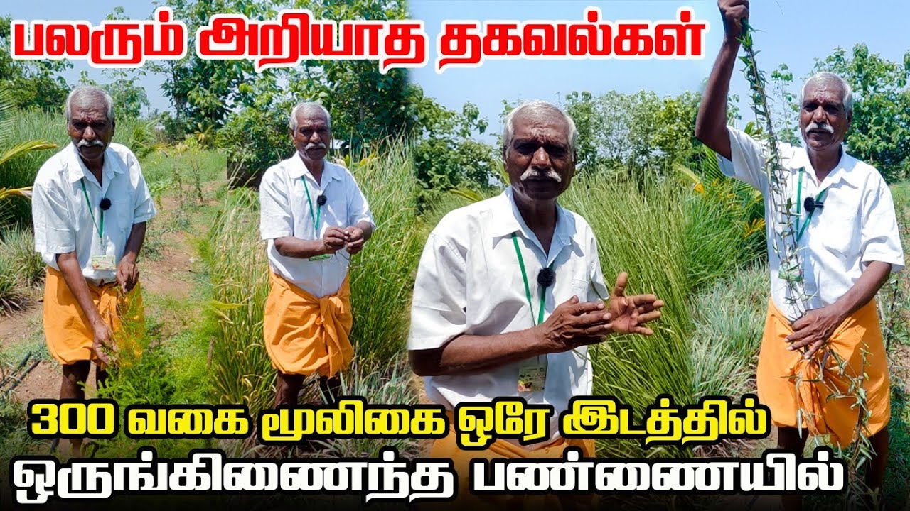 மூலிகை பயன்கள் | மூலிகை வளர்ப்பு | Medicine Plant | Iyarkai Annai