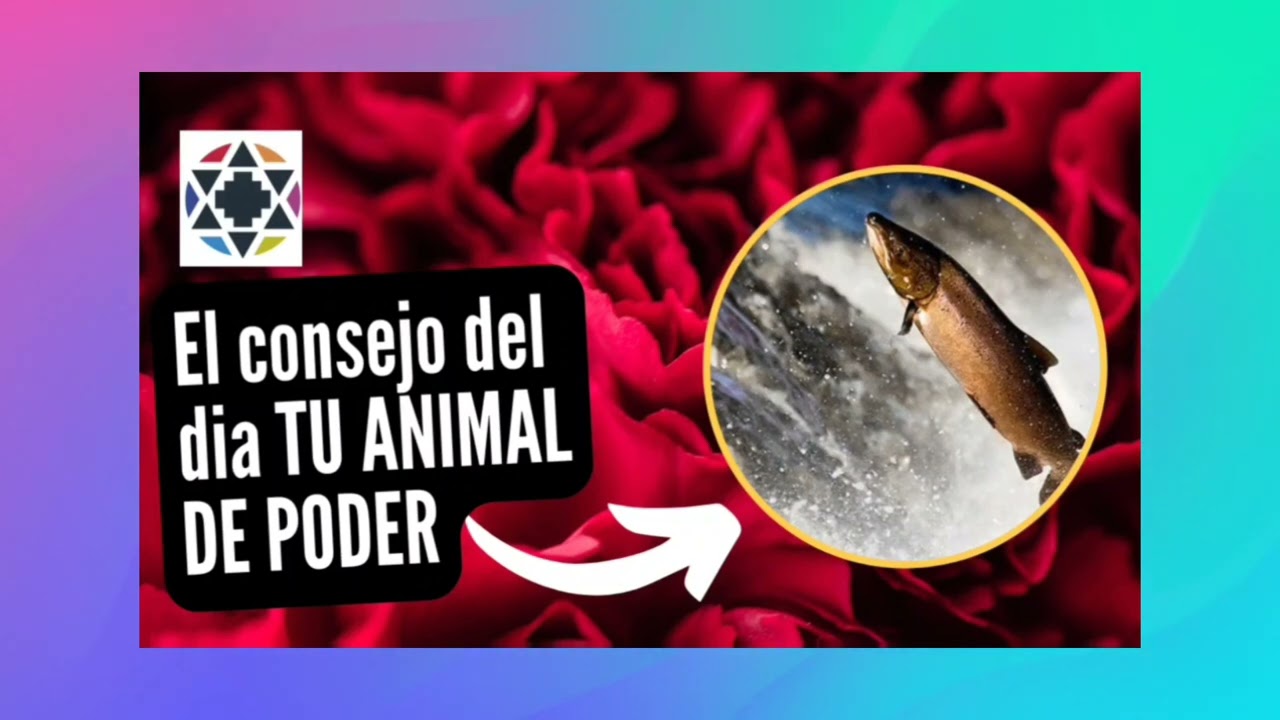 TU GUIA DE HOY. ANIMAL DE PODER ...  EL SALMON