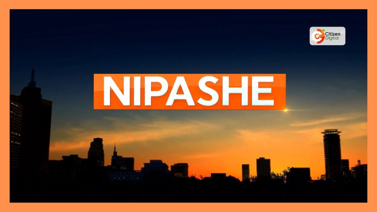 CITIZEN NIPASHE ~ 28 АВГУСТА 2026 Г.