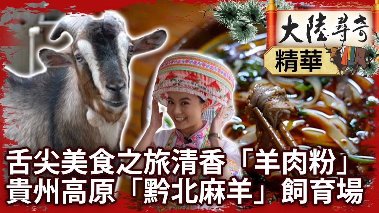 舌尖美食之旅清香「羊肉粉」 貴州高原「黔北麻羊」飼育場【@大陸尋奇EP1991】