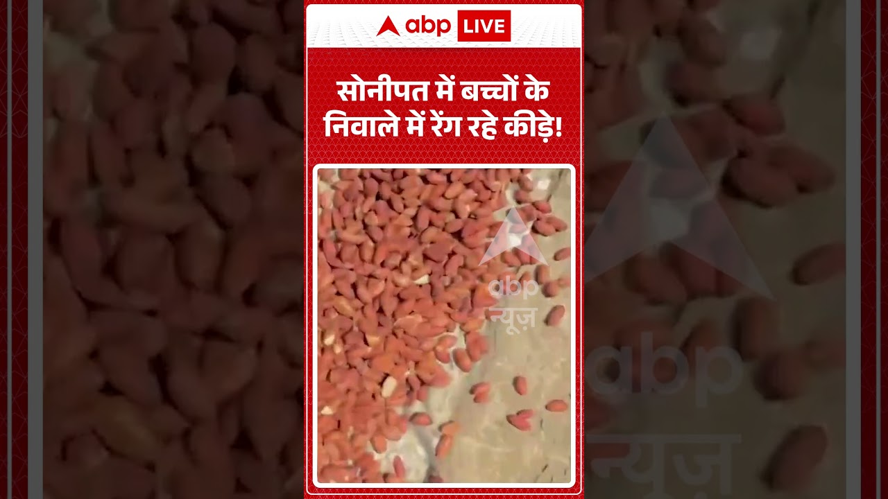 Anganwadi News : सोनीपत में बच्चों के निवाले में रेंग रहे कीड़े! | #anganwadi #foodcontroversy