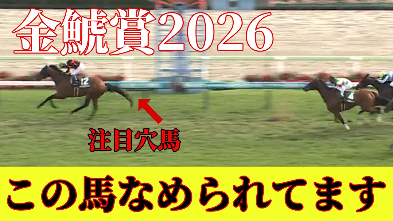 【金鯱賞2026】G1でも好走歴のあるあの馬が7番人気！？展開向きそうなあの穴馬とは！？