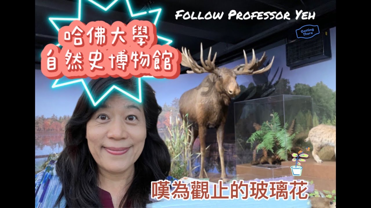 🇺🇸哈佛大學自然史博物館。令人讚嘆的玻璃花植物標本。申請美國大學寫essay竟然有參考書？Harvard Square 附近必吃的鬆餅？超有名的巧克力？還有電影院？