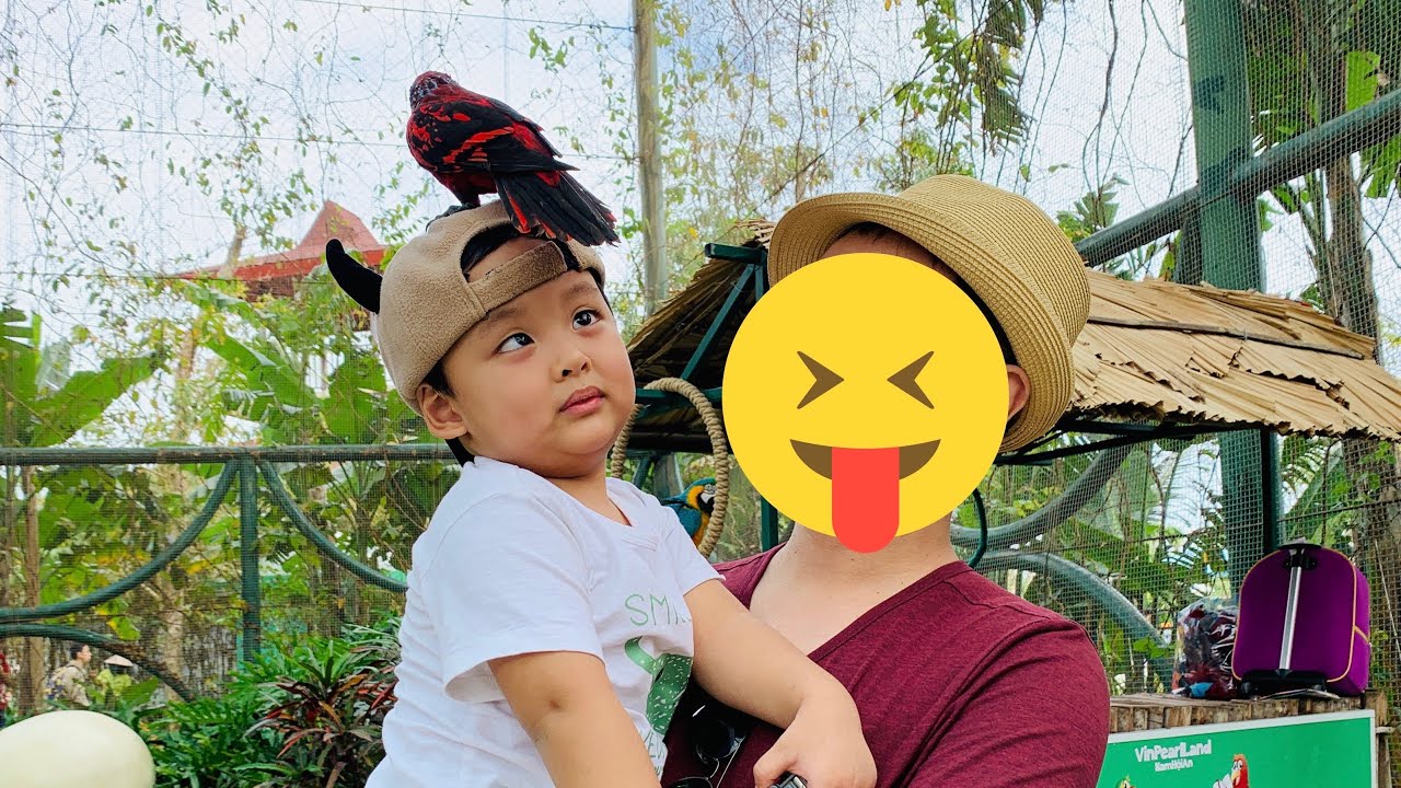 (Vlog) ĐI CHƠI TẠI NAM HỘI AN