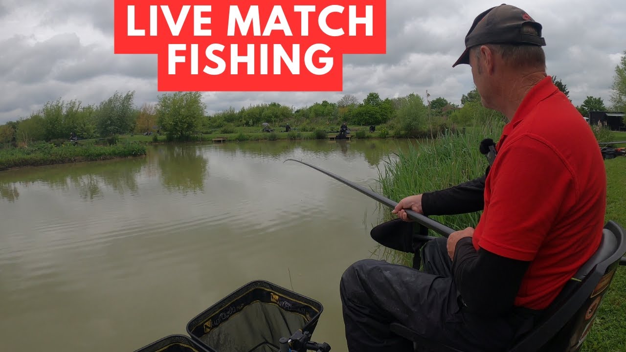 Live Fishing Match Manor Farm Swilland ip6 9lb, #matchfishinguk