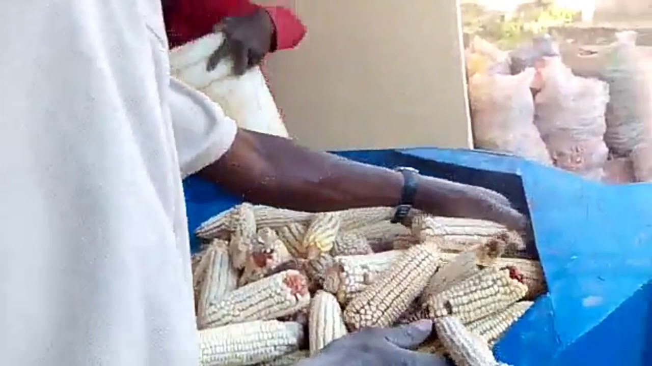 Maize Thresher (with blower and wheel)
