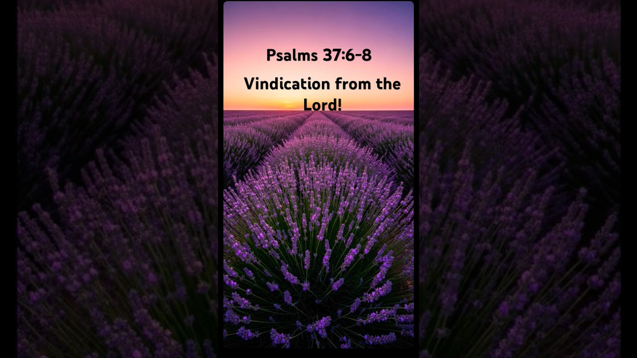 Vengeance belongs to the Lord! 