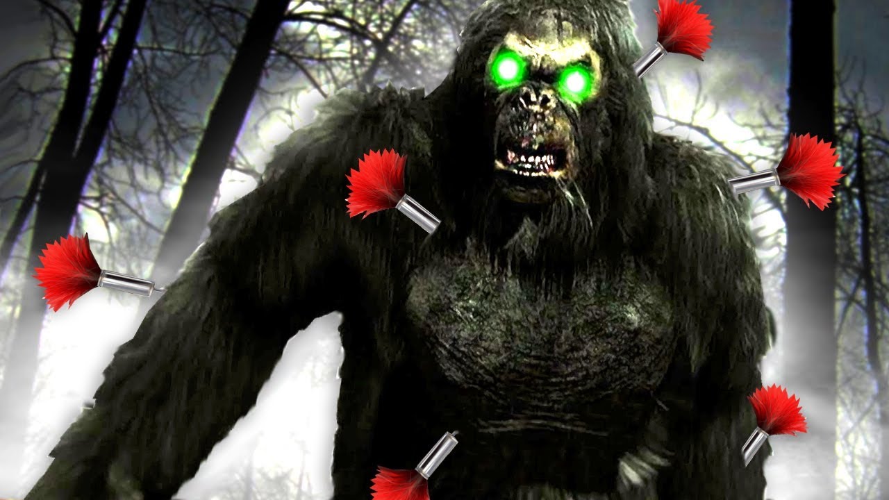 KISSA JA HIIRI LEIKKI ALKAKOON! | Pelataan Bigfoot #2