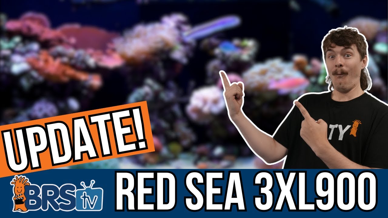 What&rsquo;s NEW in Our 200-Gallon Studio Reef Tank?!