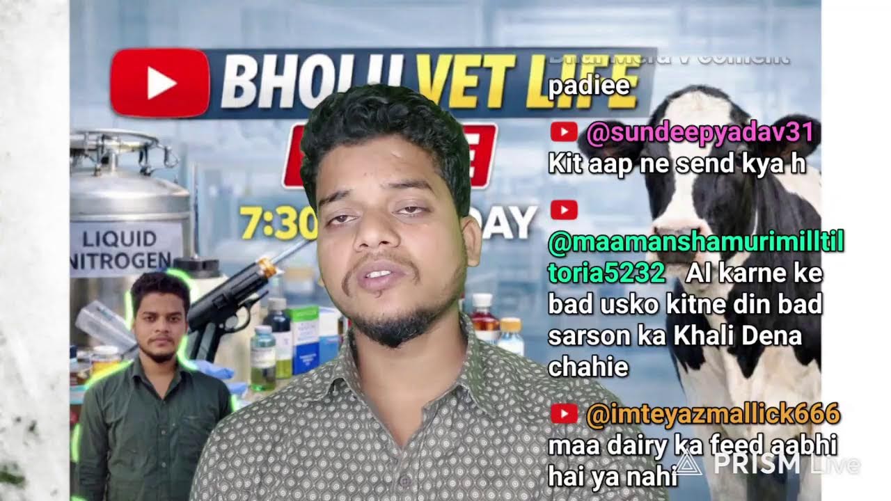 Прямая трансляция Bholu Vet Life