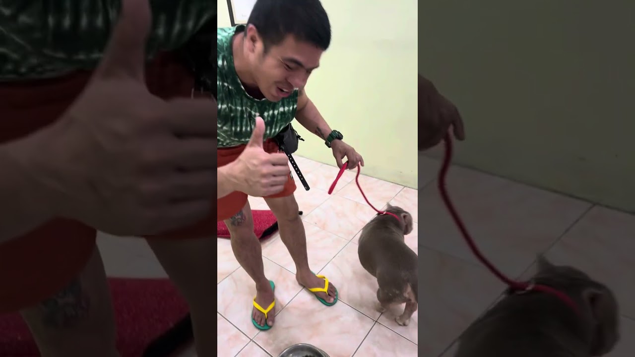 DOG NILA SEN. BONG REVILLA MADAMI NG NAKAGAT 😱