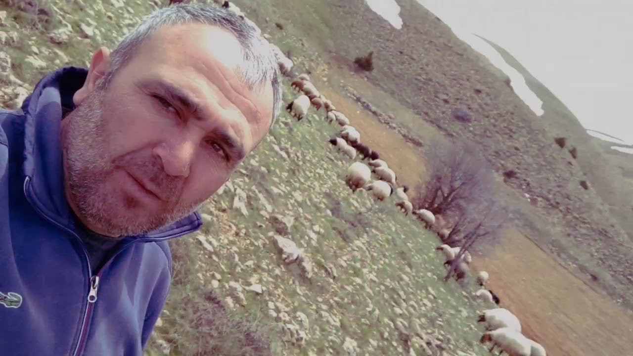 Barcın Yaylası ve Celo Boluz.