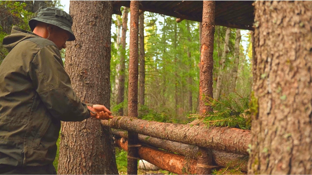 Alone in the Woods: Building a Predator-Proof Shelter Deep in the Forest