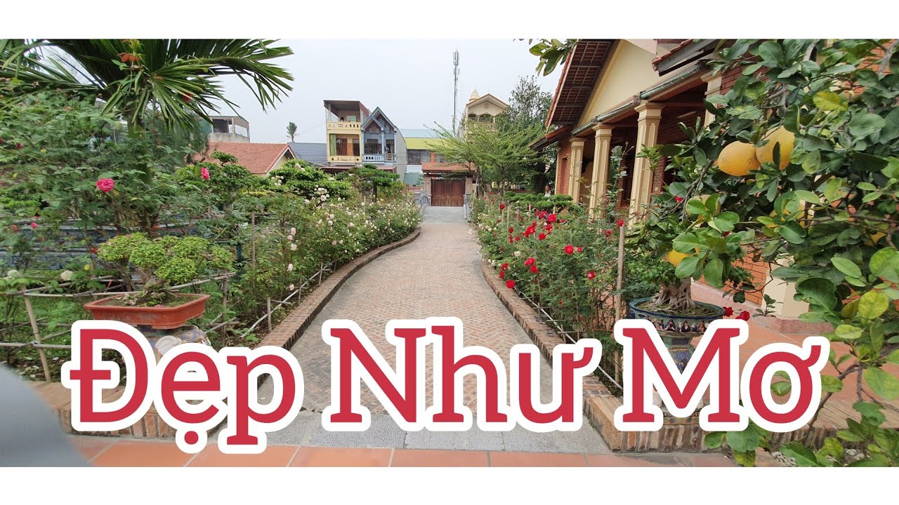S&acirc;n vườn c&acirc;y cảnh đẹp như mơ tại Hoằng H&oacute;a - Thanh H&oacute;a.